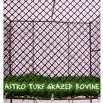 Kathryn Anne Trussler – Astro Turf Grazed Bovine | 19th May - 17th June 2017