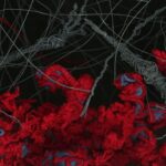 Ewan Coombs | Heidi Lucca-Redcliffe – PULP