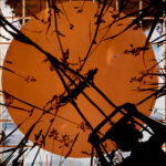 Penny Hallas: Sighting | 6th February - 28th March 2026